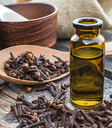 Huiles et poudres pour Udvartana